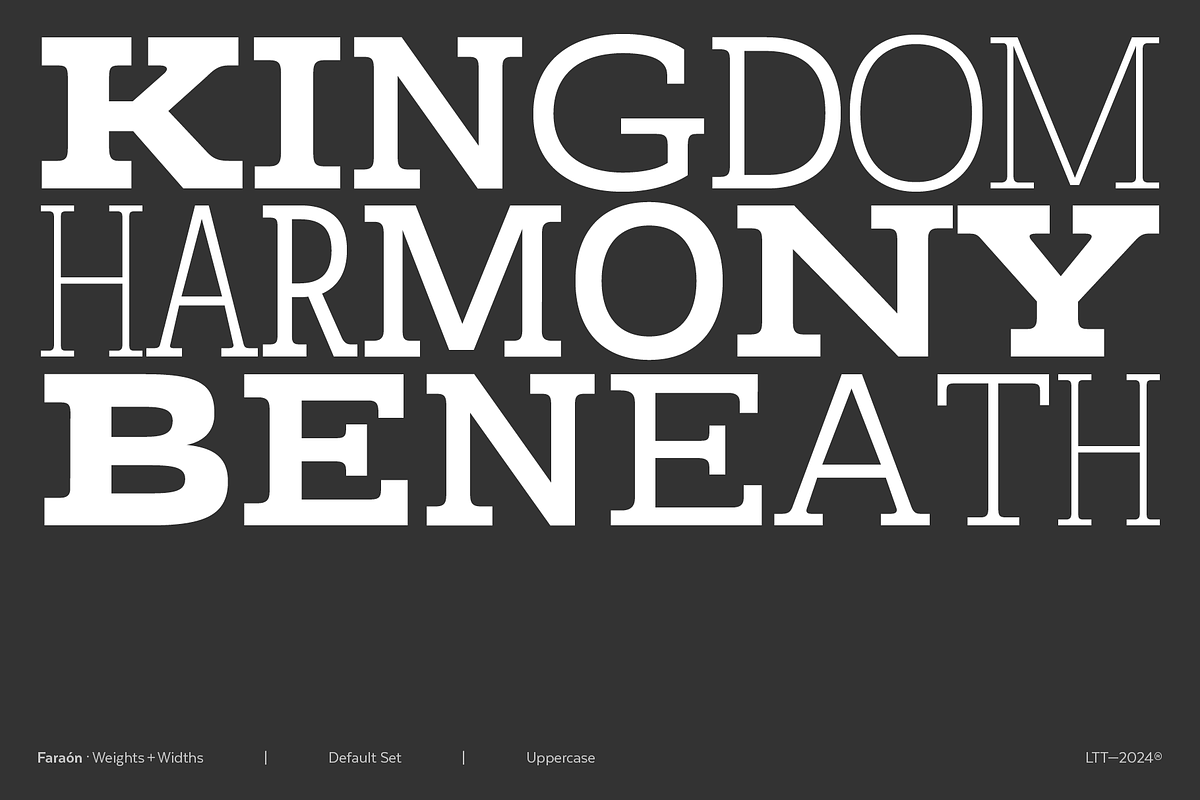Faraon, a Slab Serif Font by Latinotype (Photo 14 of 15)