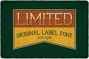 Limited typeface, a Symbol Font by VozzyStock (Thumbnail 1 of 7)
