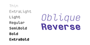 Monospaceland, a Sans Serif Font by Pepper Type (Thumbnail 2 of 10)