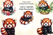 Watercolor Baby Red Panda Clipart, an Illustration by CraftArtStudio (Thumbnail 2 of 3)