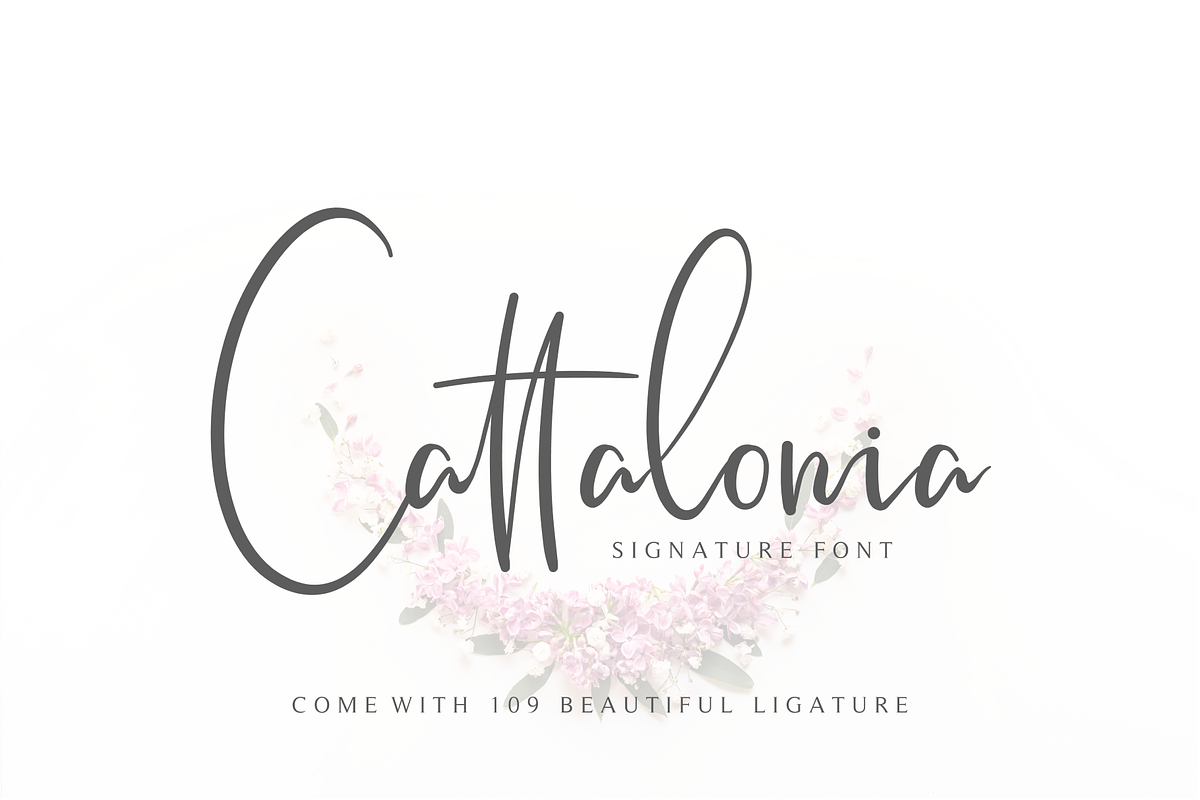 Cattalonia Signature Font, a Script Font by Pen Culture (Photo 1 of 11)