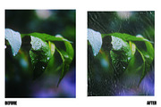 Instant Film Textures + Bonus Scans, a Graphic by coolranchcam (Thumbnail 7 of 7)