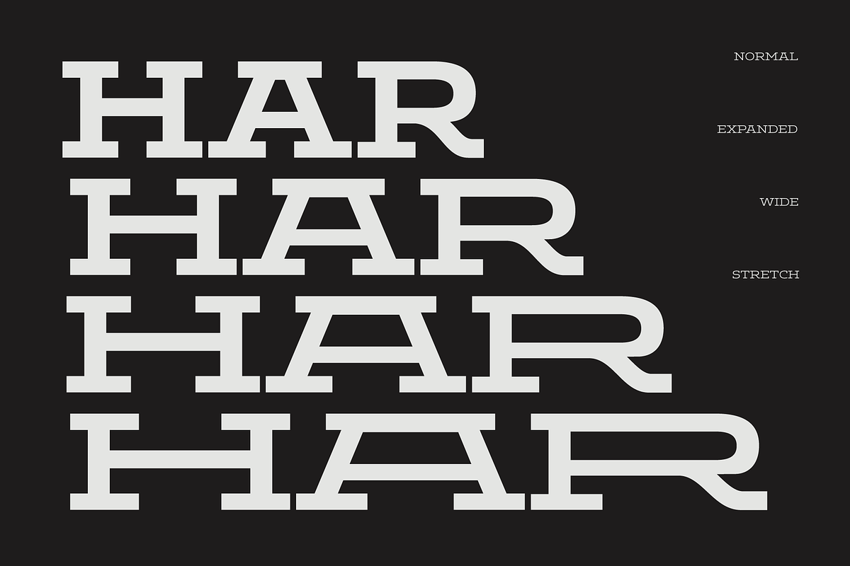 Aderos; Wide Slab Super Family, a Slab Serif Font by Eko Bimantara (Photo 5 of 13)