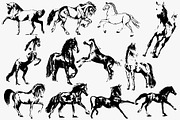 Hand drawn horse collection 2 vector, an Animal Illustration by AnastasiyaOleynik (Thumbnail 2 of 3)