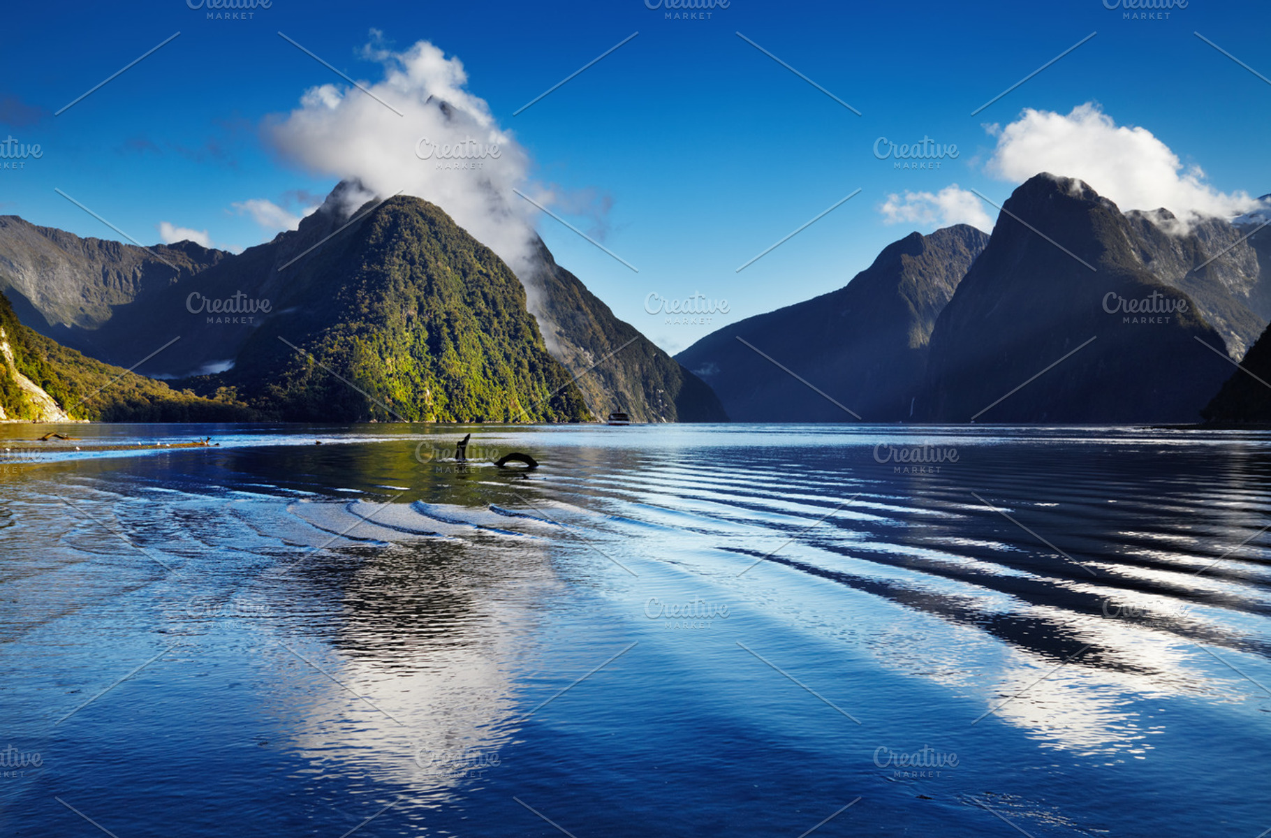Milford sound new zealand containing bay, beautiful, and blue, a Nature Photo by Shop Name