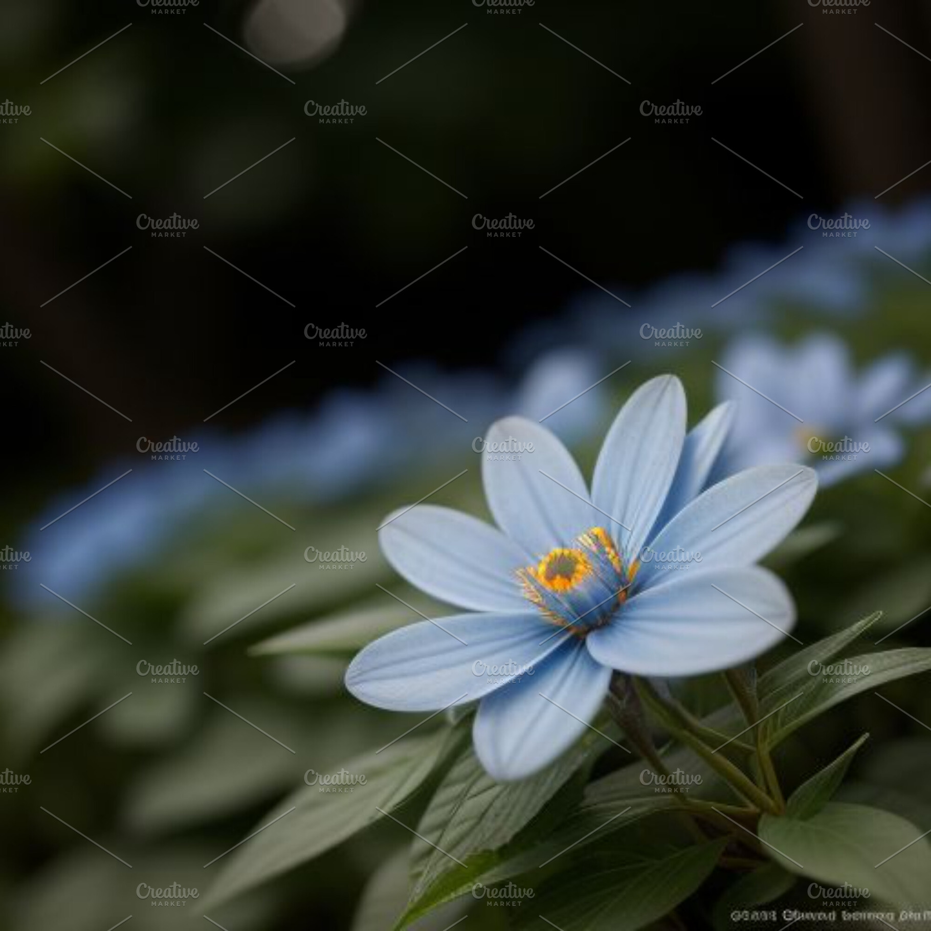 Blue flowers still life photograph, a Nature Photo by ComfortQ