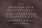 Gillgh Elegant Serif Font, a Serif Font by Perfectype (Thumbnail 7 of 8)