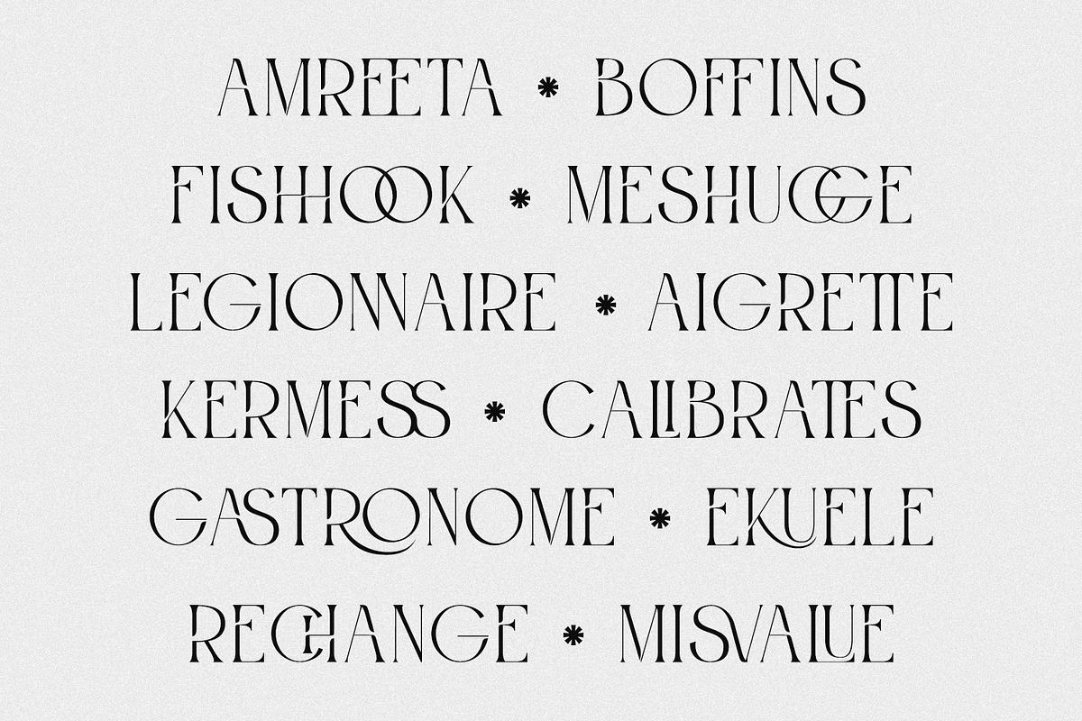 Roashe-Serif Font Family (Updated), a Serif Font by Nathatype (Photo 2 of 10)