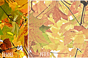 Matte Photoshop Actions, an Action Add-On by TeaBerry (Thumbnail 4 of 5)