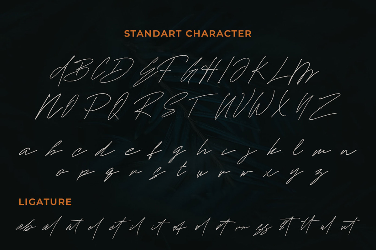 Calculate Signature Font, a Handwritten Font by Analogous (Photo 5 of 6)