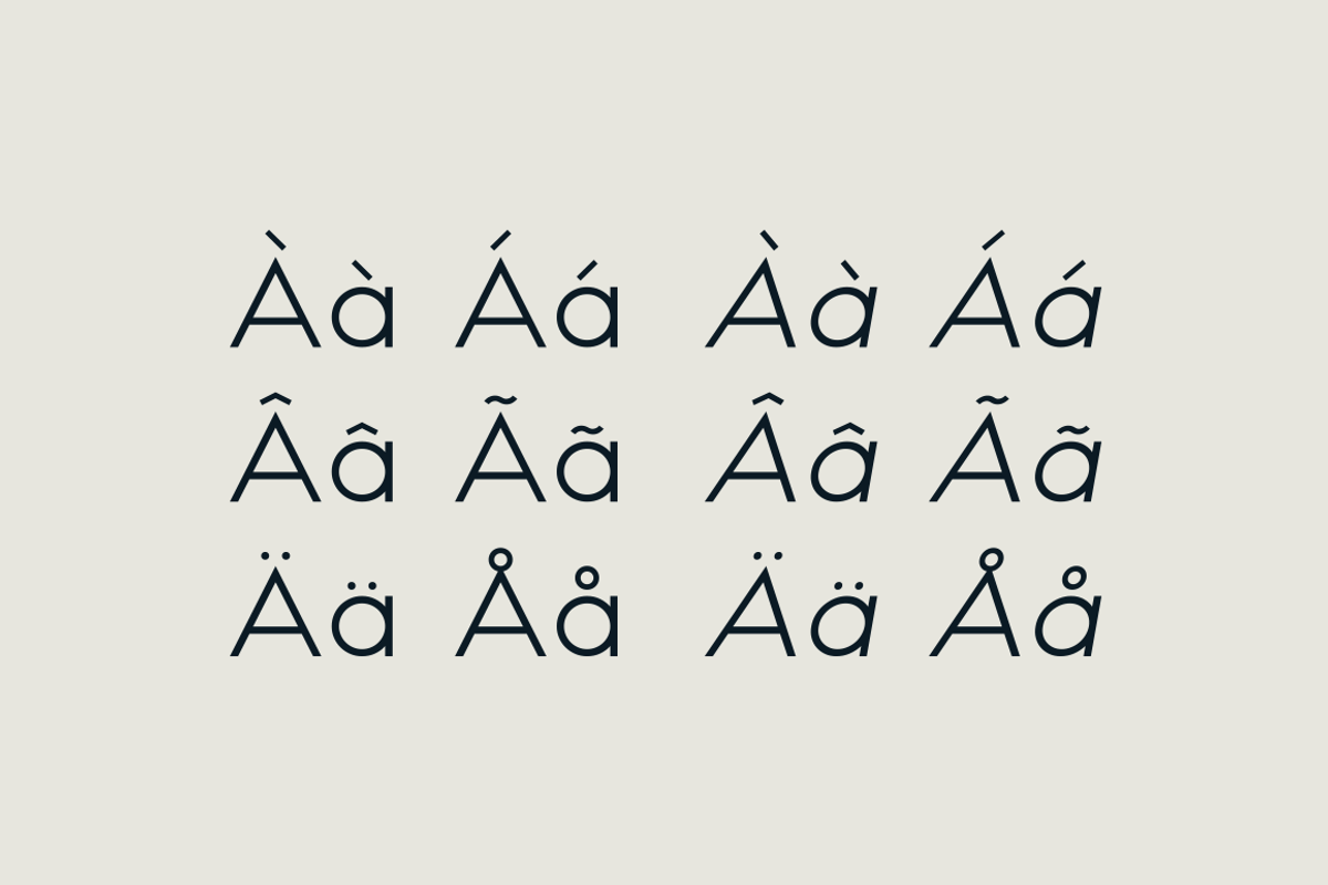 HAUS Sans Regular preview 4