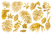 Tropical gold, a Decorative Illustration by handsketched (Thumbnail 13 of 15)