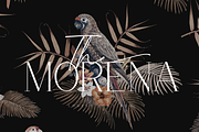 Morena Font Duo, a Serif Font by Pen Culture (Thumbnail 1 of 12)