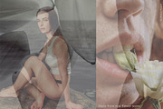 Flower Petal Textures & Foil Overlay, a Texture Graphic by Oksana Trygub (Thumbnail 5 of 28)