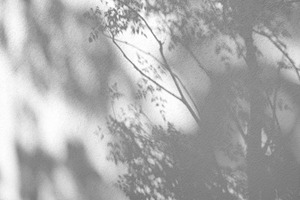 Leaves natural shadow overlay