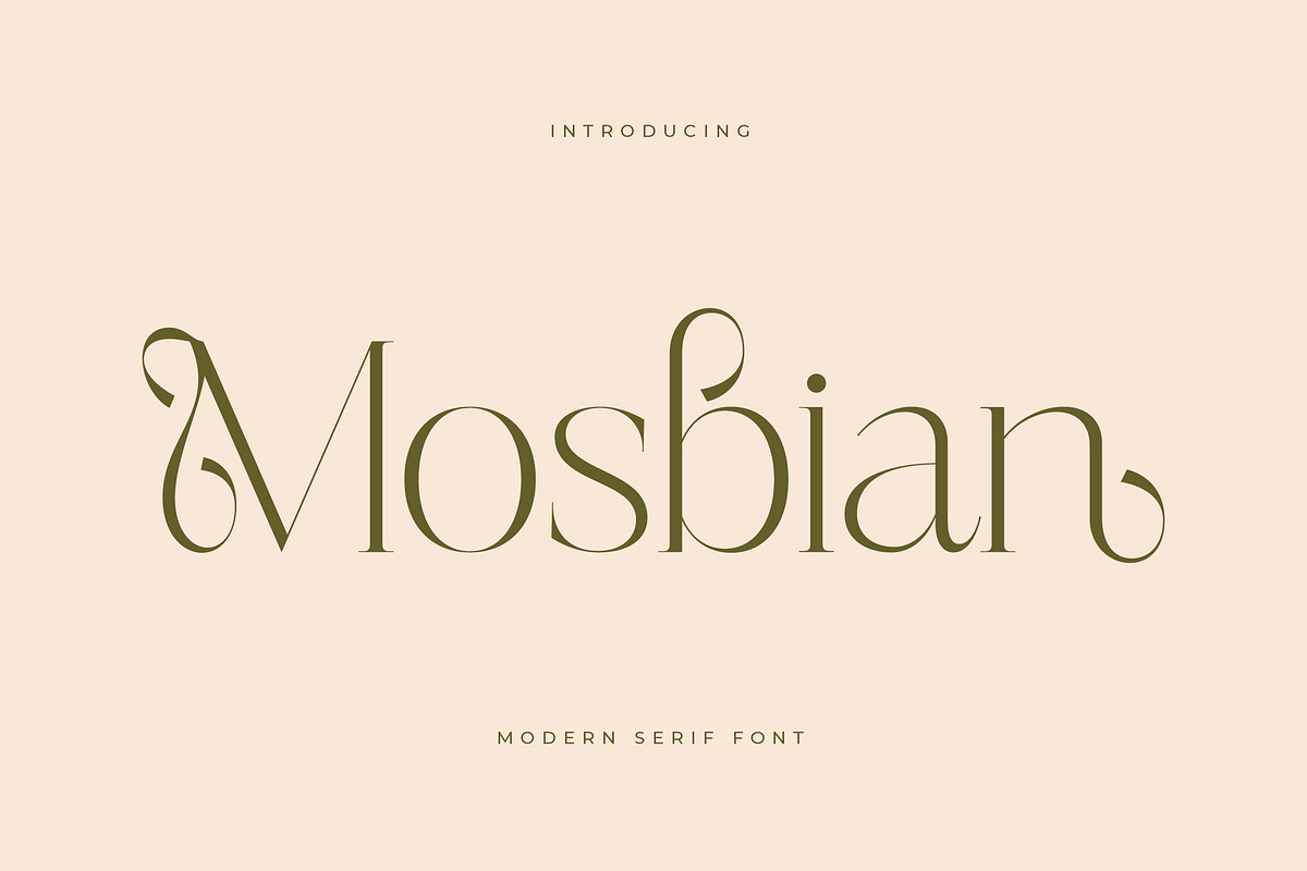 Mosbian Modern Serif Font, a Serif Font by Letterena Studios (Photo 1 of 15)