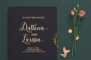Scarletta Script, a Script Font by Rastype (Thumbnail 8 of 9)