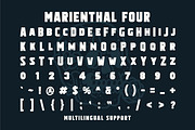 Marienthal Font Bundle + Extras!, a Script Font by DittonSupplyCo (Thumbnail 7 of 8)