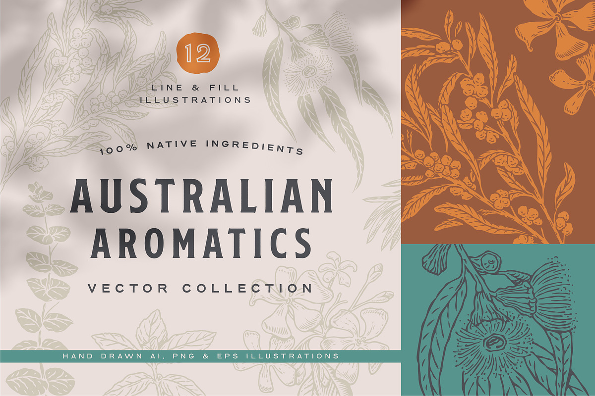 Australian Botanicals 4 in 1 Bundle, a Decorative Illustration by rouxsupplyco (Photo 8 of 25)