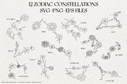 Birth Month Zodiac Constellations, an Illustration by IllustratorAnnie (Thumbnail 3 of 5)