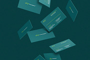 Business cards template: Finanacialp, a Business Card Template by Srg® (Thumbnail 4 of 4)