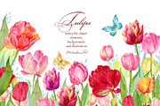 Tulips Clipart Watercolor, a Background Graphic by MitrushovaArt (Thumbnail 1 of 4)