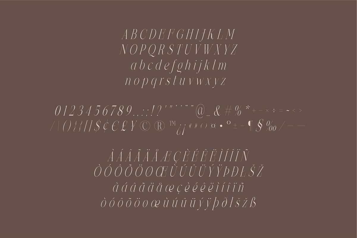 Felix - Condensed Display Serif Font, a Serif Font by Studio Aurora (Photo 10 of 10)