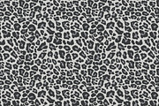 Leopard Skin Seamless Pattern Set., a Texture Graphic by Gomolach (Thumbnail 10 of 21)