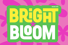 Bright Bloom Fun Display Font