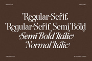 The Andalucia Serif, a Serif Font by Pista Mova (Thumbnail 12 of 26)