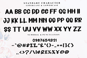 Sunrise, a Serif Font by FreshTypeINK (Thumbnail 2 of 8)
