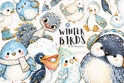 Winter Birds PNGs, an Animal Illustration by Markicha Art (Thumbnail 1 of 5)