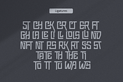 Pluck Font, a Font by Grontype (Thumbnail 11 of 12)