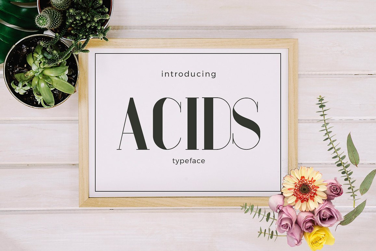Acids Typeface Fonts