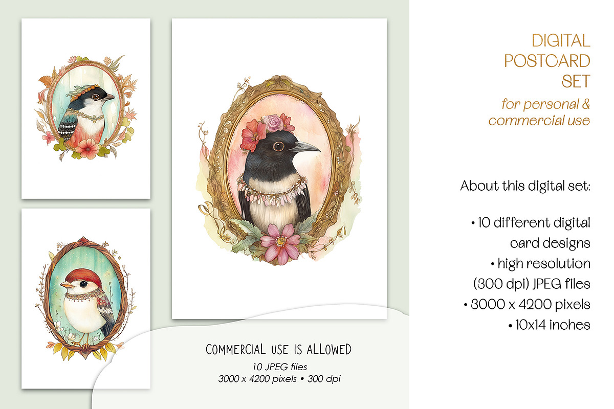 Bird Portraits Postcard Art Set, an Animal Illustration by The Dutch Lady Designs (Photo 3 of 5)