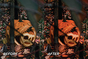 15 Spooky Season Lightroom Presets, a Preset Add-On by TheWayfarerShoppe (Thumbnail 9 of 9)