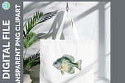 Lake Fish Clipart, 24 PNG Bundle, an Animal Illustration by Enliven Designs (Thumbnail 8 of 8)
