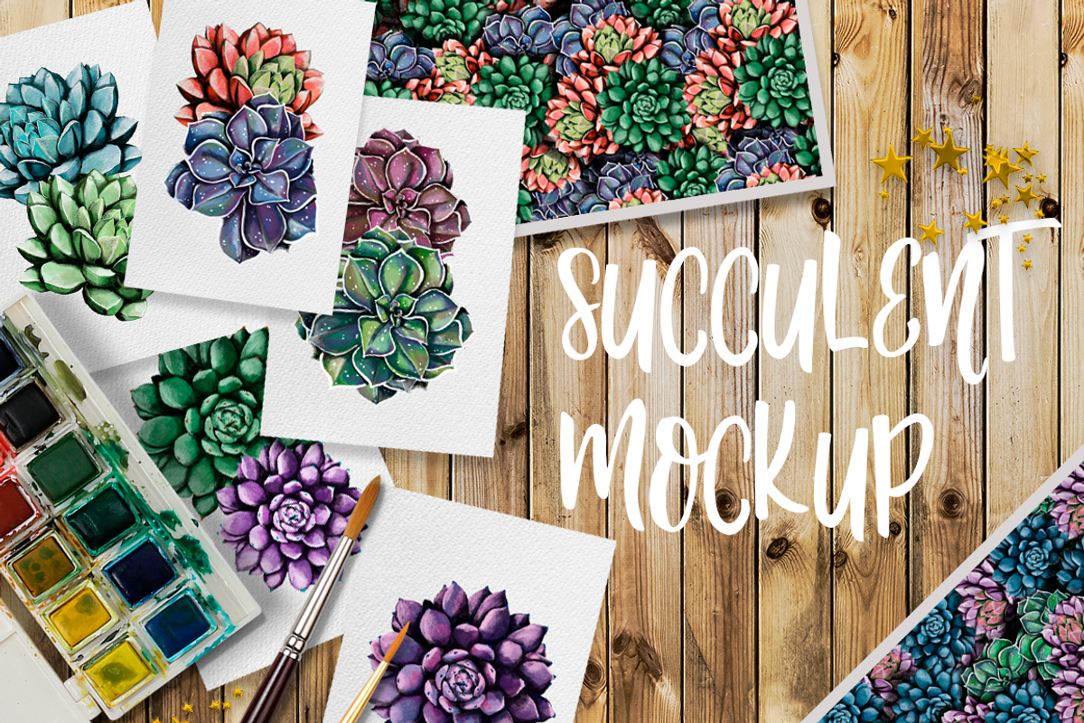 Succulent mockup on transparent back, a Decorative Illustration by Kseniia (Photo 3 of 3)