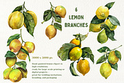 Watercolor Juicy Hand-Painted Lemons, an Object Graphic by Artcard Watercolor (Thumbnail 2 of 9)
