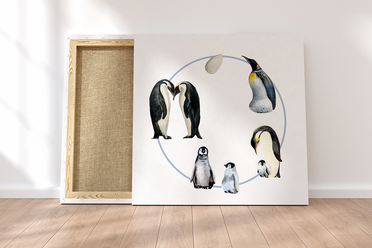 Watercolor Penguin Life Cycle Set, an Education Illustration by Tati Bordiu (Photo 4 of 5)