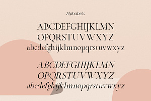 Aesthetic Theory Classic Serif