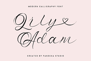 Lily Adam - Valentine Elegant Font