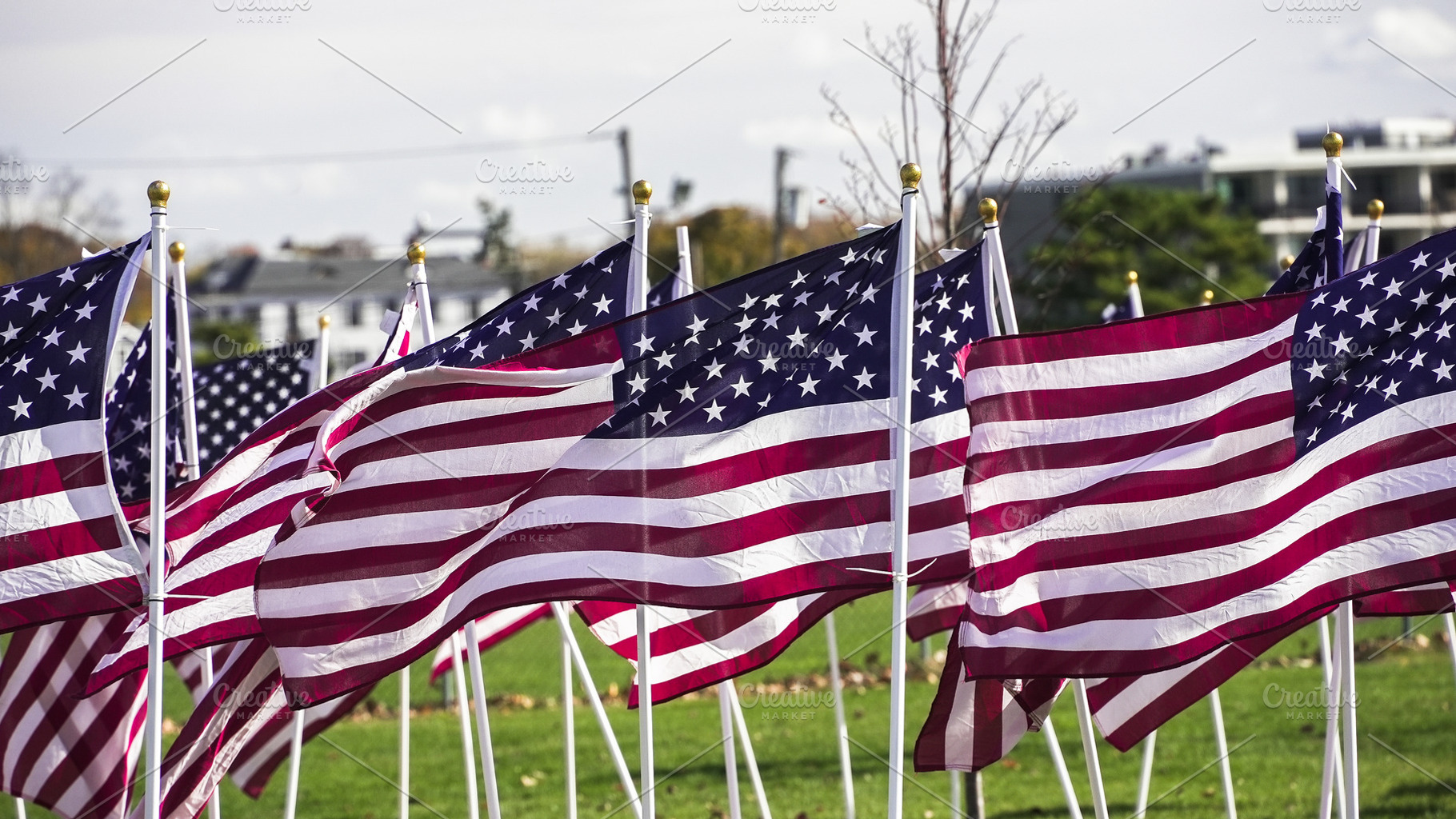 American flags wave in a field durin, a Holiday Photo by 1miromiro