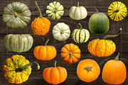 Pumpkins & Gourds - 33 Realistic, an Object Graphic by Turning Moss (Thumbnail 4 of 6)