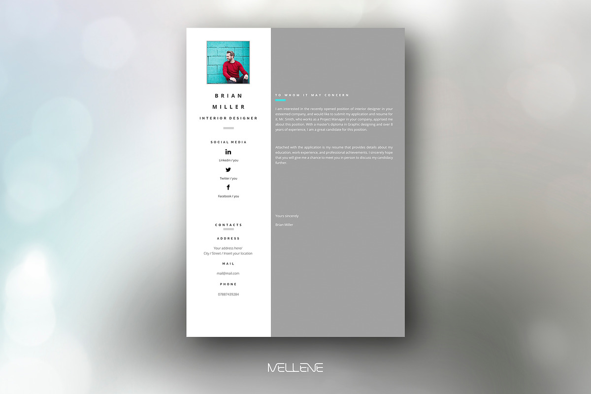 CV / Resume template for MS Word, a Resume Template by Mellene Templates (Photo 2 of 2)