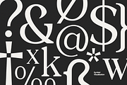 GC Quick Gaseous – Elegant Serif, a Serif Font by Glyphonic (Thumbnail 13 of 15)