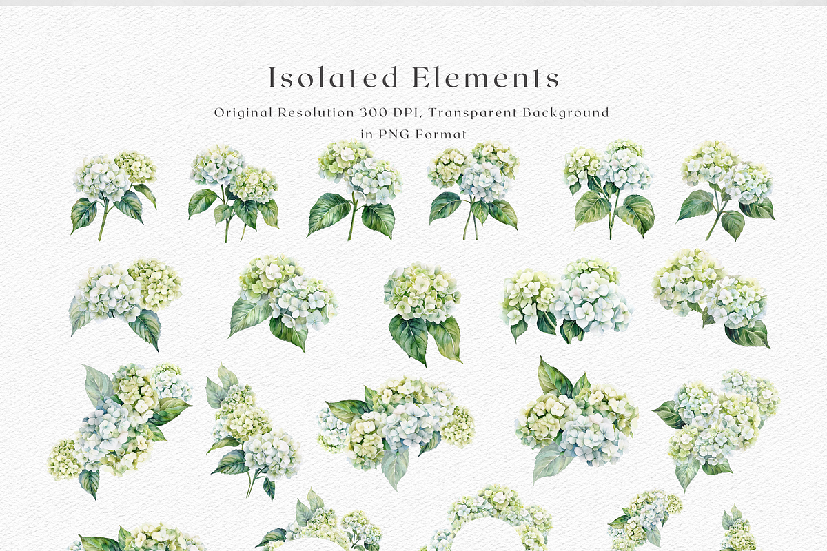 Hydrangeas Dreaming - Watercolor, a Decorative Illustration by ThaismotaCreativeCo (Photo 9 of 9)