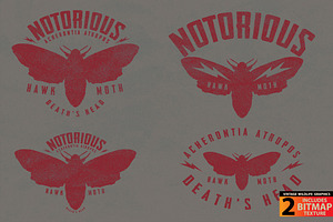 HAWKMOTH - Vector Illustration