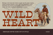 Revslonia, a Serif Font by graphicook (Thumbnail 9 of 10)