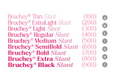 Bruchey Serif, a Serif Font by Fargun Studio (Thumbnail 5 of 15)